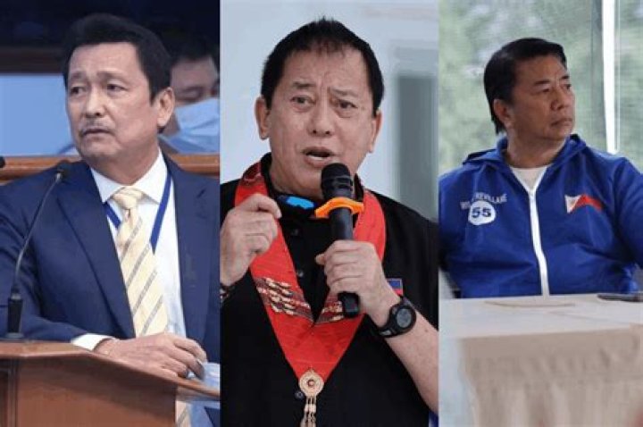Introducing Roy Lapid: The Brother Of Renowned Politician Lito Lapid